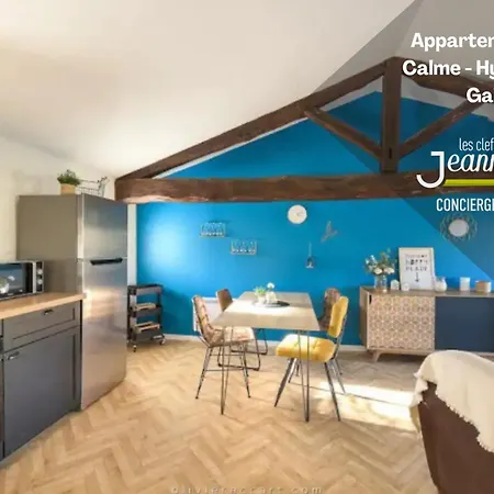 Cozy - Calme - Hypercentre - * Gaillac
